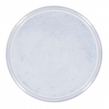 Concealer Blue